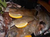 Filet vom Flußzander im Salbei-Panchetta-Mantel