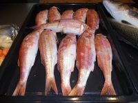 Tintenfisch und Gurke mit Senfdressing